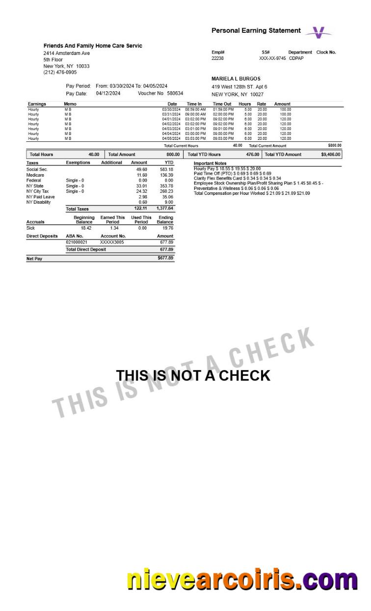 Home Care Servic personal earning statement